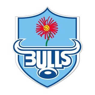 Bulls rugby team